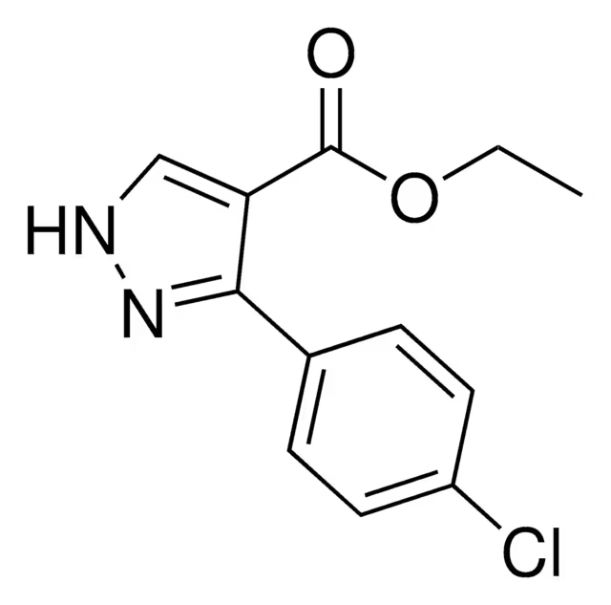 ETHYL 3-AMINO-1-PHENYL-1H-PYRAZOLE-4-CARBOXYLATE structure, CAS 16078-63-0