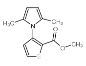 METHYL 3-(2,5-DIMETHYL-1H-PYRROL-1-YL)THIOPHENE-2-CARBOXYLATE structure, CAS 175137-41-4