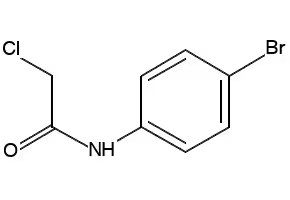 N-((4-BROMOPHENYL)CARBAMOYL)-2-CHLOROACETAMIDE structure, CAS 13558-79-7