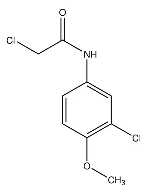N-(4-CHLORO-3-METHOXYPHENYL)ACETAMIDE structure, CAS 98446-55-0