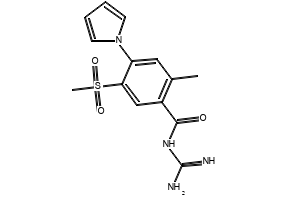 N-(DIAMINOMETHYLENE)-2-METHYL-5-(METHYLSULFONYL)-4-(1H-PYRROL-1-YL)BENZAMIDE structure, CAS 176644-21-6