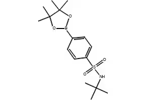 N-(TERT-BUTYL)-4-(4,4,5,5-TETRAMETHYL-1,3,2-DIOXABOROLAN-2-YL)BENZENESULFONAMIDE structure, CAS 648905-63-9