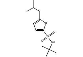 N-(TERT-BUTYL)-5-ISOBUTYLTHIOPHENE-2-SULFONAMIDE structure, CAS 146013-28-7