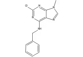 N-BENZYL-2-CHLORO-9-METHYL-9H-PURIN-6-AMINE structure, CAS 101622-53-1