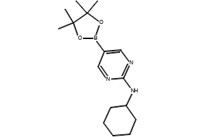 N-CYCLOHEXYL-5-(4,4,5,5-TETRAMETHYL-1,3,2-DIOXABOROLAN-2-YL)PYRIMIDIN-2-AMINE structure, CAS 1218789-35-5