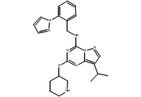 N-ISOPROPYL-2-(PIPERIDIN-4-YLOXY)BENZAMIDE structure, CAS 902837-04-1