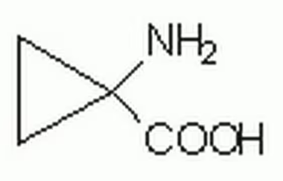 PHTHALAZINE-1-CARBOXYLIC ACID structure, CAS 801161-36-4