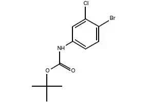 TERT-BUTYL (4-CHLOROPHENYL)CARBAMATE structure, CAS 18437-66-6