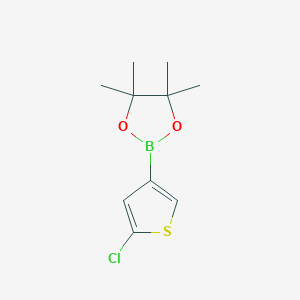 2-Chloro-4-(4,4,5,5-tetramethyl-1,3,2-dioxaborolan-2-yl)thiophene structure, CAS 1315354-56-3