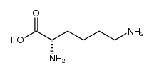 POLYLYSINE structure, CAS 25104-18-1