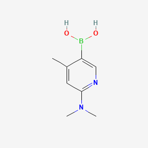 6-dimethylamino-4-methyl-pyridineboronic acid structure, CAS 535934-70-4