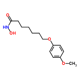 7-(4-Methoxyphenoxy)heptanehydroxaMic acid structure, CAS 1176497-00-9