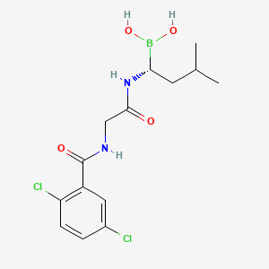(R)-1-(2-(2,5-dichlorobenzamido)acetamido)-3-methylbutylboronic acid structure, CAS 1072833-77-2