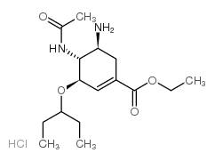 OSELTAMIVIR MONO HYDROCHLORIDE structure, CAS 204255-09-4