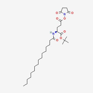 Nε-PalMitoyl-L-glutaMic Acid γ-SucciniMidyl-α-tert-butyl Ester structure, CAS 204521-63-1