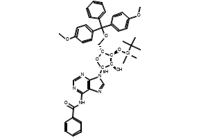 N6-benzoyl-3'-O-t-butyldiMethylsilyl-5'-O-(4,4'-diMethoxytrityl)-adenosine structure, CAS 81256-88-4