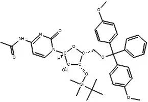 3'-O-t-ButyldiMethylsilyl-5'-O-(4,4'-diMethoxytrityl)-N4-acetyl cytidine structure, CAS 123956-65-0