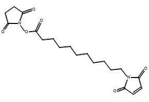 N-Succinimidyl 11-(maleimido)undecanoate structure, CAS 87981-04-2