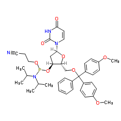 DMT-DU AMIDITE 0.25G, AB, SINGLE structure, CAS 109389-30-2