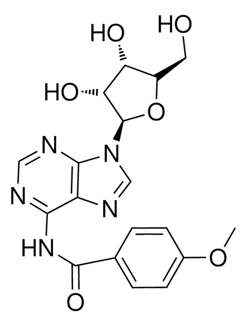 N6-ANISOYLADENOSINE structure, CAS 56883-05-7