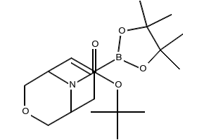 3-oxo-8-tbutylcarbonyldicyclo-2-decane-7-boronic ester structure, CAS 1313034-29-5