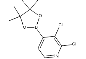 2,3-dichloro-4-(4,4,5,5-tetramethyl-1,3,2-dioxaborolan-2-yl)phenol structure, CAS 1612184-06-1