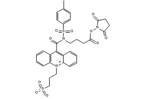 3-[9-(((3-(N-succiniMidyloxycarboxypropyl)[4-Methxylphenyl]sulfonyl)aMine)carboxyl]-10-acridiniuMyl)-1-propanesulfonate inner salt (NSP-SA-NHS) structure, CAS 199293-83-9