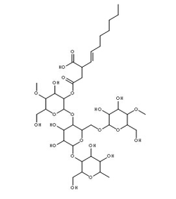 Starch Sodiilm octenylsuccinate structure, CAS 66829-29-6