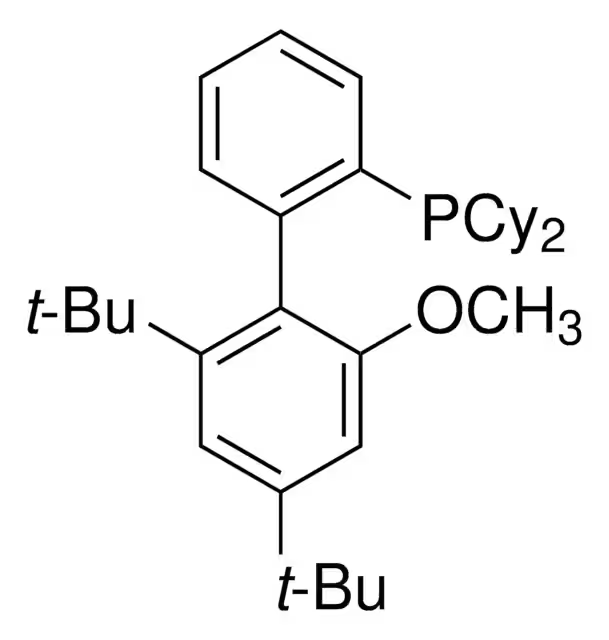 [2',4'-Bis(1,1-dimethylethyl)-6'-methoxy[1,1'-biphenyl]-2-yl]dicyclohexylphosphine structure, CAS 1848244-75-6
