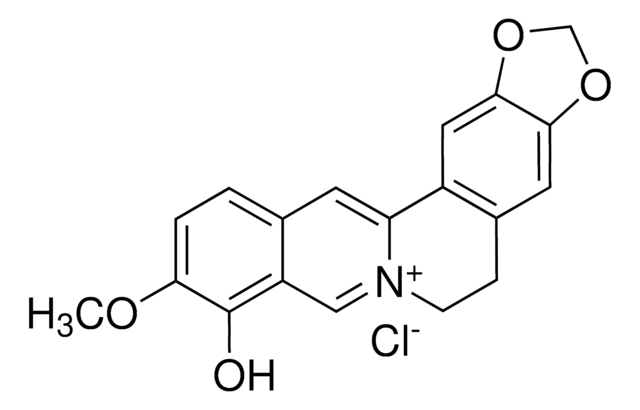 Berberrubine structure, CAS 15401-69-1