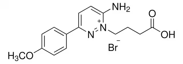 SR-95531 structure, CAS 105538-73-6