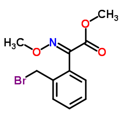 (E)-Methyl-2-(2-broMoMethylphenyl)-2-MethoxyiMinoacetate structure, CAS 133409-72-0
