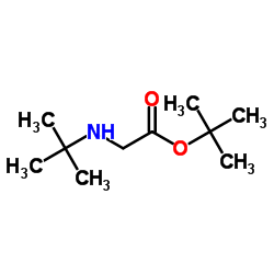 N-t-butylglycine tert-butyl ester structure, CAS 916885-51-3