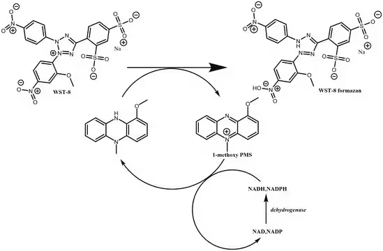 2-(2-Methoxy-4-nitrophenyl)-3-(4-nitrophenyl)-5-(2,4-disulfophenyl)-2H-tetrazolium sodium salt structure, CAS 193149-74-5