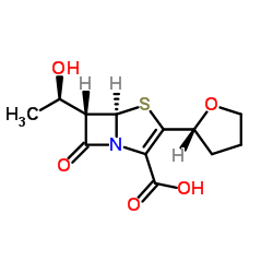Fropenem structure, CAS 106560-14-9