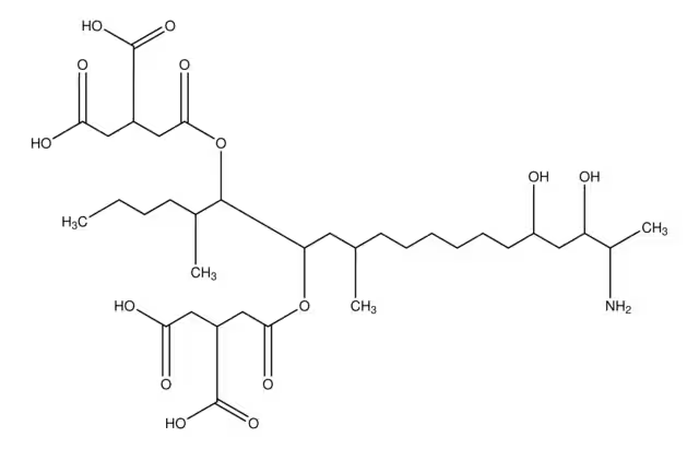 Fumonisin B2 structure, CAS 116355-84-1