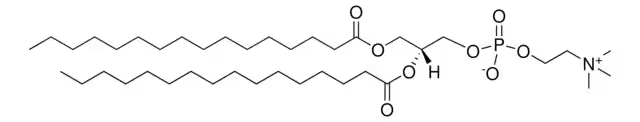 L-alpha-dipalmitoyl phosphatidylcholine structure, CAS 63-89-8