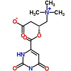 L-Carnitine orotate structure, CAS 160468-17-7