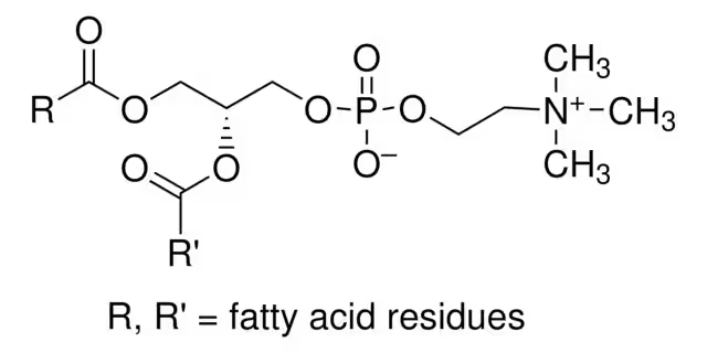 Lecithin structure, CAS 8002-43-5