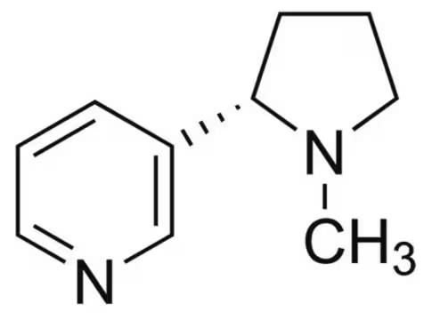 L-Nicotine structure, CAS 54-11-5