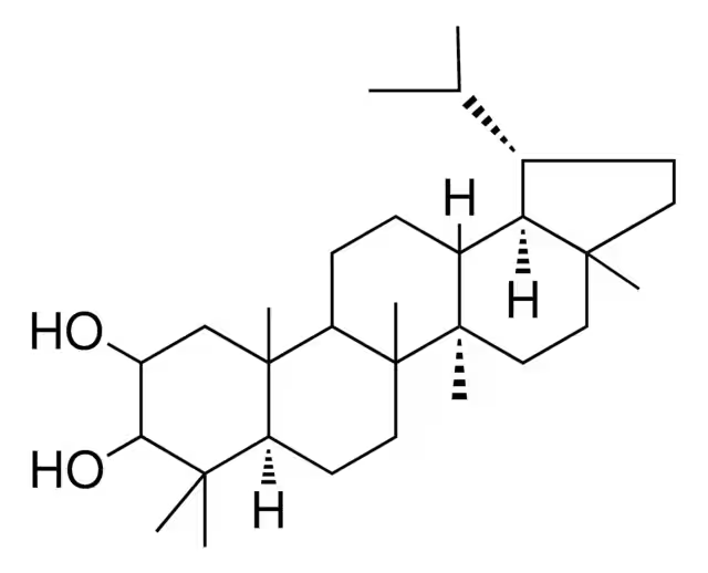 Lupane structure, CAS 464-99-3