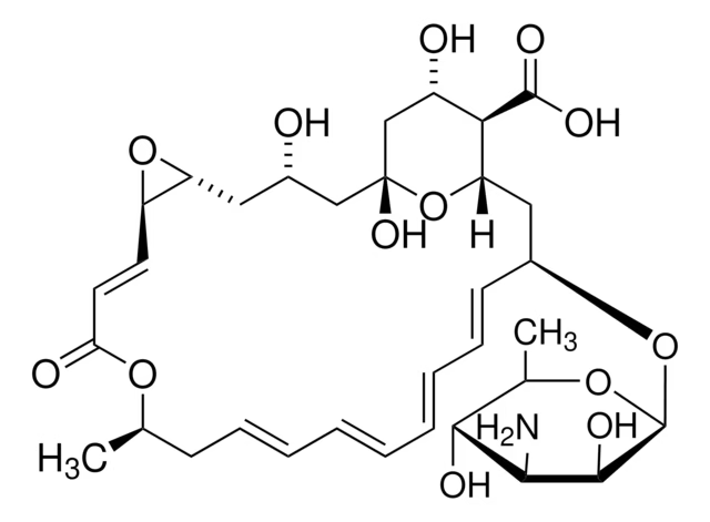 Natamycin structure, CAS 7681-93-8