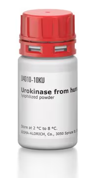Urokinase structure, CAS 9039-53-6