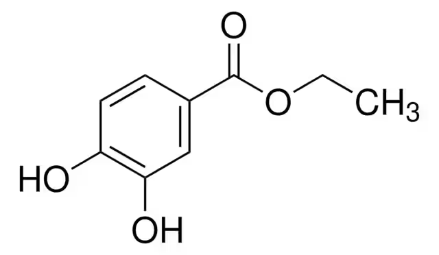 3,4-Dihydroxybenzoic Acid Ethyl Ester structure, CAS 3943-89-3