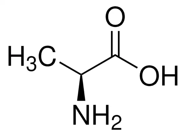 L-Alanine; ALA structure, CAS 56-41-7