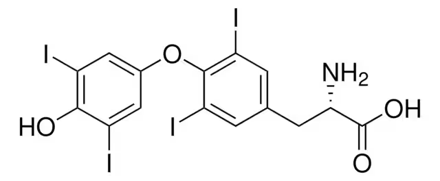 L-Thyroxine structure, CAS 51-48-9