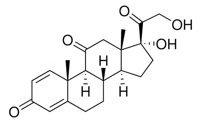 Prednisone structure, CAS 53-03-2