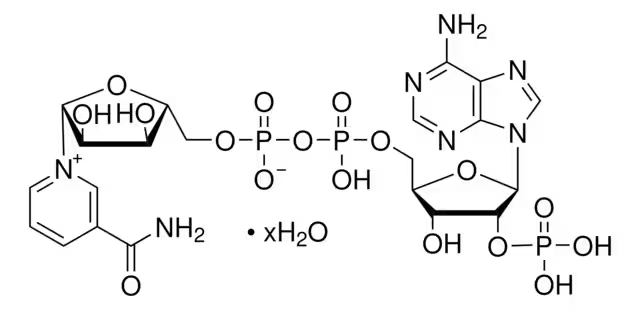 Triphosphopyridine nucleotide structure, CAS 53-59-8