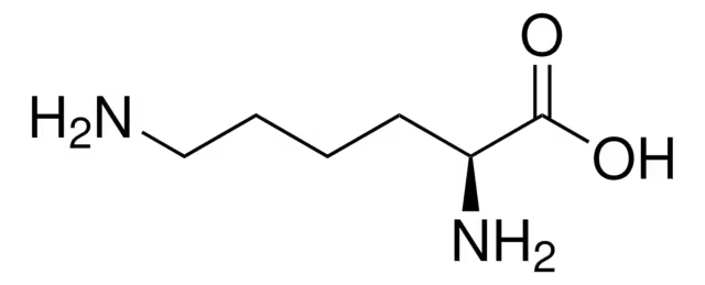 L-Lysine structure, CAS 56-87-1