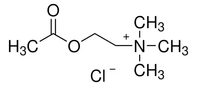 Acetylcholine chloride structure, CAS 60-31-1